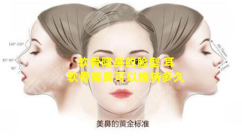 软骨隆鼻的脸型 耳软骨隆鼻可以维持多久
